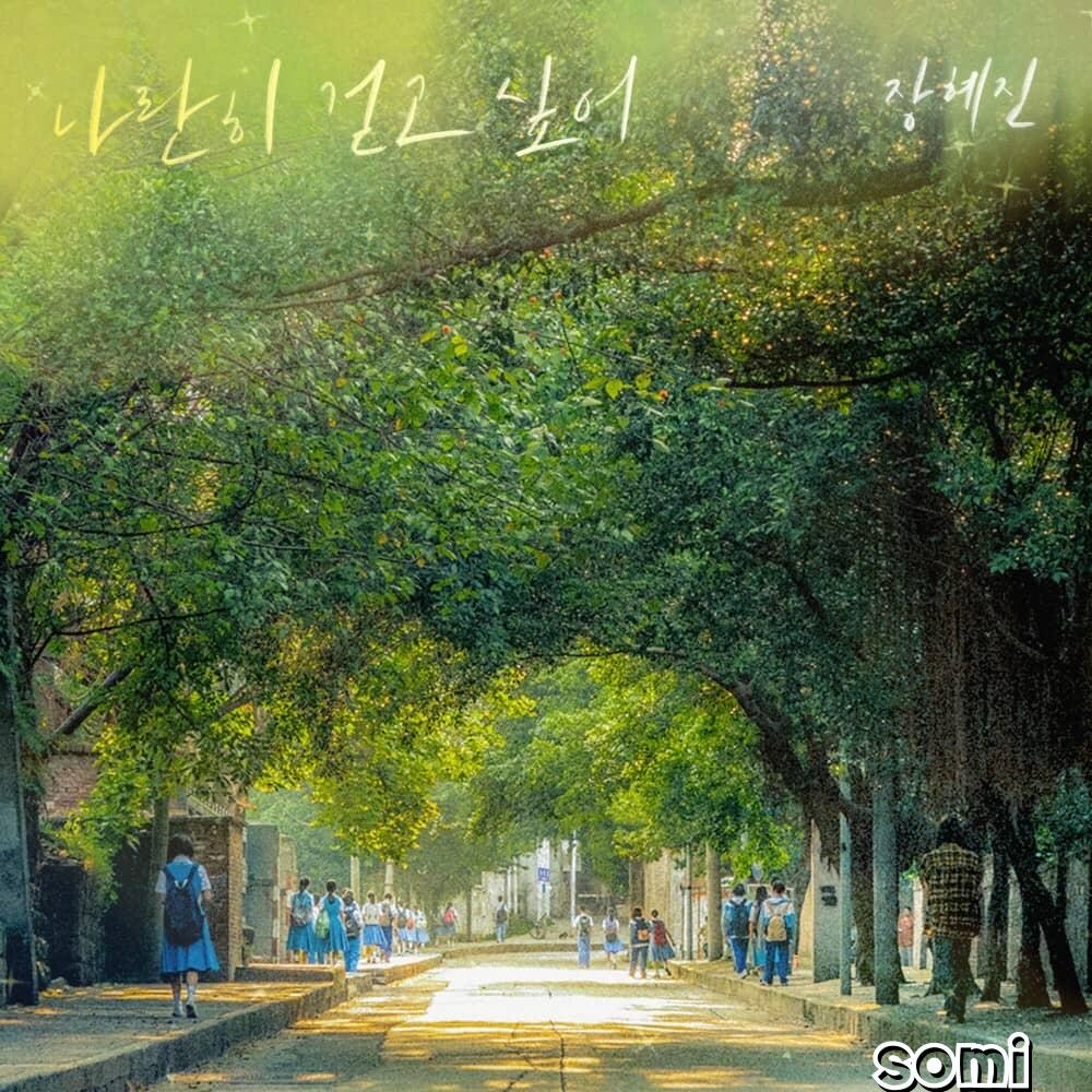 Image Cover